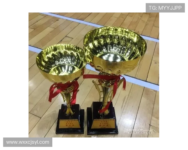 杭州羽毛球队比赛经验深度对比分析及其对未来发展的影响探讨